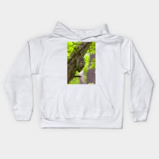 Eastern Screech Owl Kids Hoodie